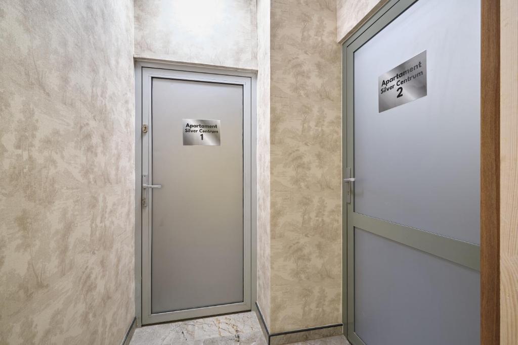 Silver apartament